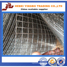 30 Mesh Square Wire Mesh (20 years professional experience factory) (Huge